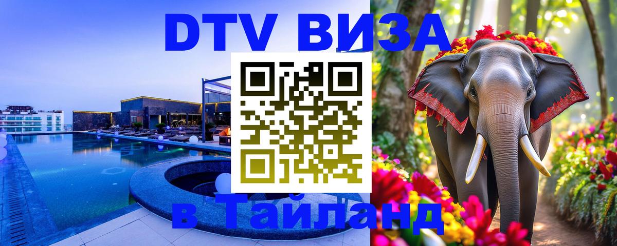 Оформление DTV визы под ключ: стоимость и тарифы, только загранпаспорт - Вашингтон  21.11.2025 